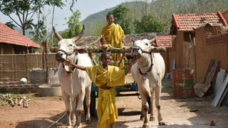 Utpanna Ekadashi: గోదాన ఫలితాన్నిచ్చే ఉత్పన్న ఏకాదశి వ్రతం.. ఈ శుభ యోగంలో పూజిస్తే కోరిన కోర్కెలు నెరవేరతాయి..