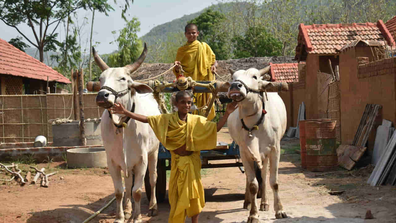 Andhra Pradesh: మన ఆంధ్రాలోని ఇలాంటి విలేజ్ దేశంలోనే ఎక్కడా లేదు.. ప్రత్యేకత ఏంటంటే