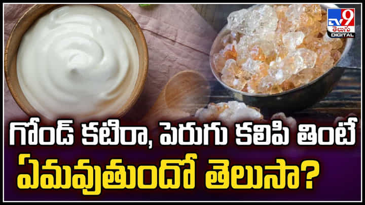 Gond Katira: గోండ్ కటిరా, పెరుగు కలిపి తింటే ఏమవుతుందో తెలుసా.? Gond Katira: గోండ్ కటిరా, పెరుగు కలిపి తింటే ఏమవుతుందో తెలుసా.?