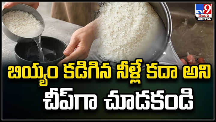 Rice Water: బియ్యం కడిగిన నీళ్లే కదా అని చీప్గా చూడకండి.! వీటితో ఎన్నో ఉపయోగాలు.. Rice Water: బియ్యం కడిగిన నీళ్లే కదా అని చీప్గా చూడకండి.! వీటితో ఎన్నో ఉపయోగాలు..