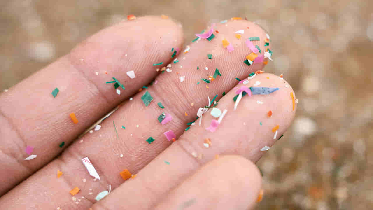 Plastic: మైక్రోప్లాస్టిక్ శరీరంపై ఎలాంటి ప్రభావం చూపుతుందో తెలుసా.?