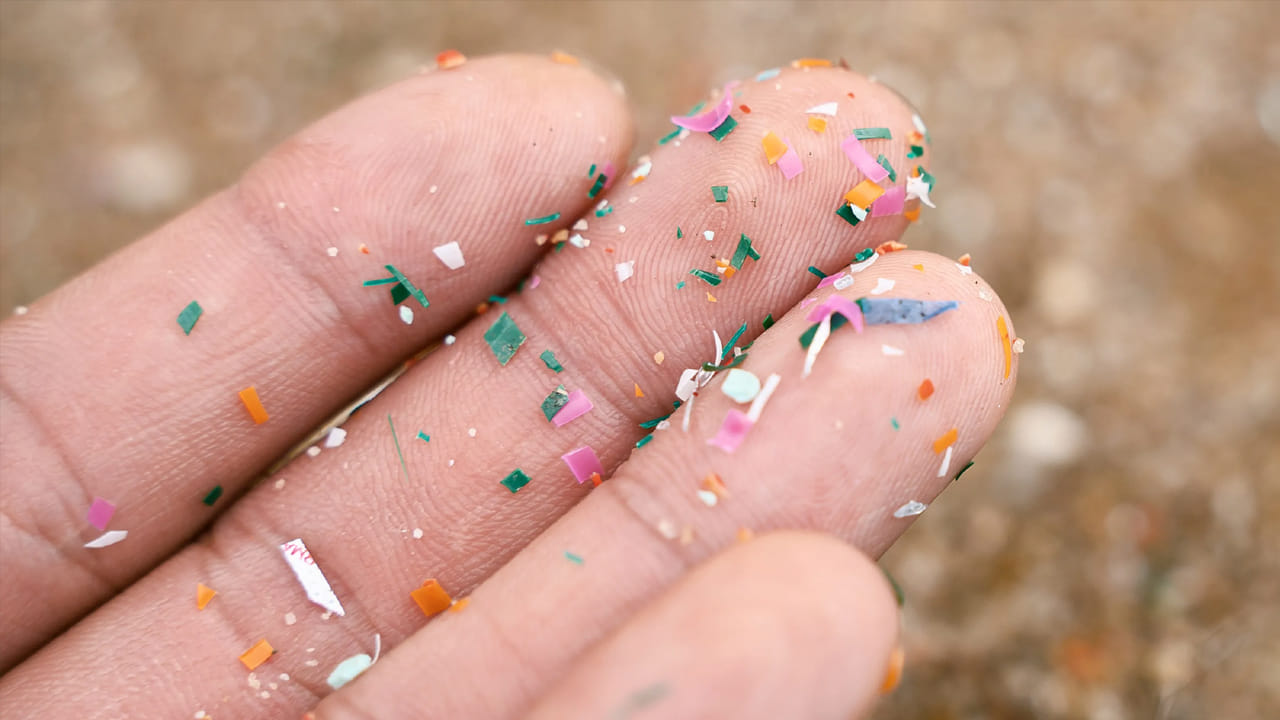 Plastic: మైక్రోప్లాస్టిక్ శరీరంపై ఎలాంటి ప్రభావం చూపుతుందో తెలుసా.?