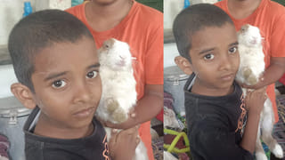 AP News: జిల్లా కలెక్టరేట్లో కత్తి కలకలం..కత్తితో కలెక్టర్ వద్దకు వచ్చిన మహిళ.. పోలీసులు ఏం చేశారంటే?