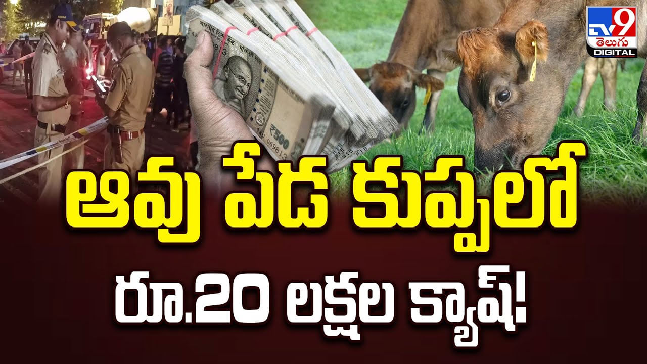 ఆవు పేడ కుప్పలో రూ.20 లక్షల క్యాష్‌