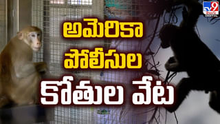 China: వ్యాయామం చేస్తున్నవారిపై కారు ఎక్కించిన వృద్దుడు..  35 మంది మృతి, 43 మందికి గాయాలు