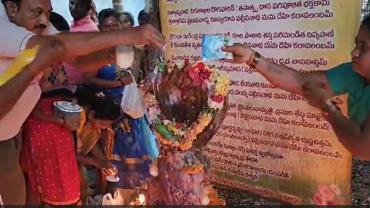 Nagula Chavithi: తెలుగు రాష్ట్రాల్లో ఘనంగా నాగుల చవితి వేడుకలు.. పుట్టల వద్ద బారులు తీరిన భక్తులు