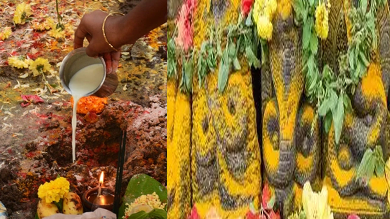 Nagula Chavithi: ఈ ఏడాది నాగుల చవితి పండగ విషయంలో గందర గోళం.. నవంబర్ 4నా.. 5నా.. ఎప్పుడు జరుపుకోవాలో తెలుసుకోండి..