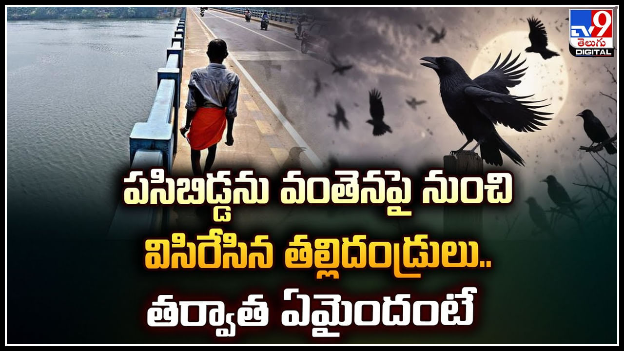 Viral: పసిబిడ్డను వంతెనపై నుంచి విసిరేసిన తల్లిదండ్రులు.. తర్వాత ఏమైందంటే.?