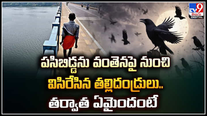 Viral: పసిబిడ్డను వంతెనపై నుంచి విసిరేసిన తల్లిదండ్రులు.. తర్వాత ఏమైందంటే.? Viral: పసిబిడ్డను వంతెనపై నుంచి విసిరేసిన తల్లిదండ్రులు.. తర్వాత ఏమైందంటే.?