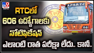 Watch: మర్డర్‌ చేసి తప్పించుకోవాలనుకున్నాడు.. ఈగలు చేసిన పనికి ఇలా దొరికిపోయాడు.!