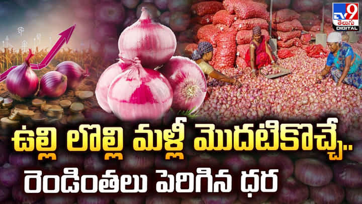 ఉల్లి లొల్లి మళ్లీ మొదటికొచ్చే.. రెండింతలు పెరిగిన ధర ఉల్లి లొల్లి మళ్లీ మొదటికొచ్చే.. రెండింతలు పెరిగిన ధర