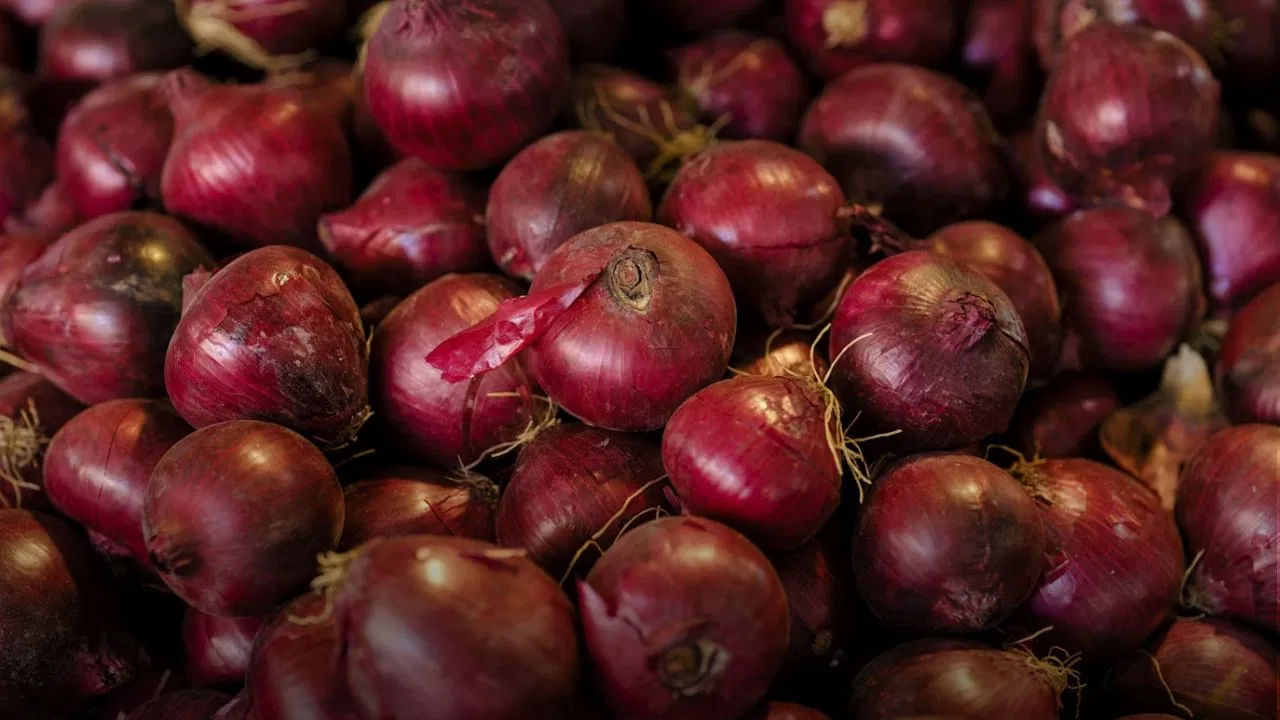 Onion Price: రాబోయే రోజుల్లో ఉల్లి ధర మరింత పెరగనుందా? షాకింగ్‌ నివేదిక!