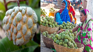 Andhra Pradesh: ఆ దొంగ రూటే సెపరేటు.. అలాగైతేనే చోరీ.. లేదంటే.. అసలు ముట్టుకోడు..!