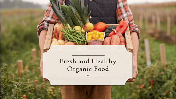 Organic Food: ఆర్గానిక్ ఫుడ్స్ తినడం ఆరోగ్యకరమేనా.. నిపుణులు ఏం అంటున్నారంటే..
