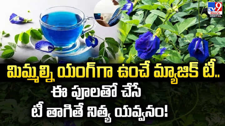 మిమ్మల్ని యంగ్ గా ఉంచే మ్యాజిక్ టీ.. ఈ పూలతో చేసే టీ తాగితే నిత్య యవ్వనం !! మిమ్మల్ని యంగ్ గా ఉంచే మ్యాజిక్ టీ.. ఈ పూలతో చేసే టీ తాగితే నిత్య యవ్వనం !!