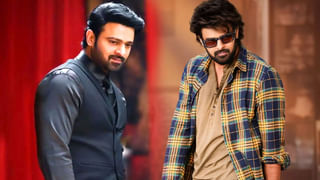 Prabhas: పెళ్లి గురించి ప్రభాస్ కామెంట్స్.. చేసుకోవాలా.?చేసుకోకూడదా..? అంటూ..