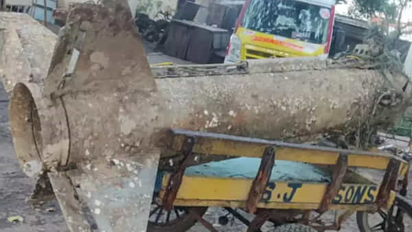 Nellore: చేపల కోసం వల వేసిన జాలర్లు.. అందులో చిక్కింది చూసి స్టన్