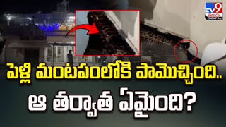 Viral News: క్రిమినల్‌ ఆచూకీ చెప్పండి.. పోలీసుల పావలా రివార్డు అందుకోండి.. ఎక్కడంటే