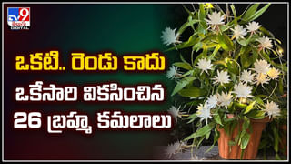 చితి నుంచి లేచి నీళ్లడిగిన అవ్వ !! షాకింగ్‌ ఘటన