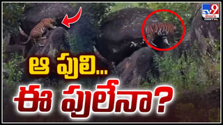 Volcano: మంచుకొండపై మండుతున్న లావా.! ఐస్ ల్యాండ్ లో అగ్ని పర్వతం బ్లాస్ట్..