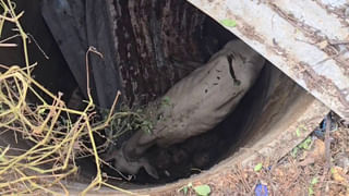 AP News: ఇదేంటి మాస్టారూ.! పాఠాలు చెప్పాల్సిందిపోయి.. స్టూడెంట్ తల్లితో అలా