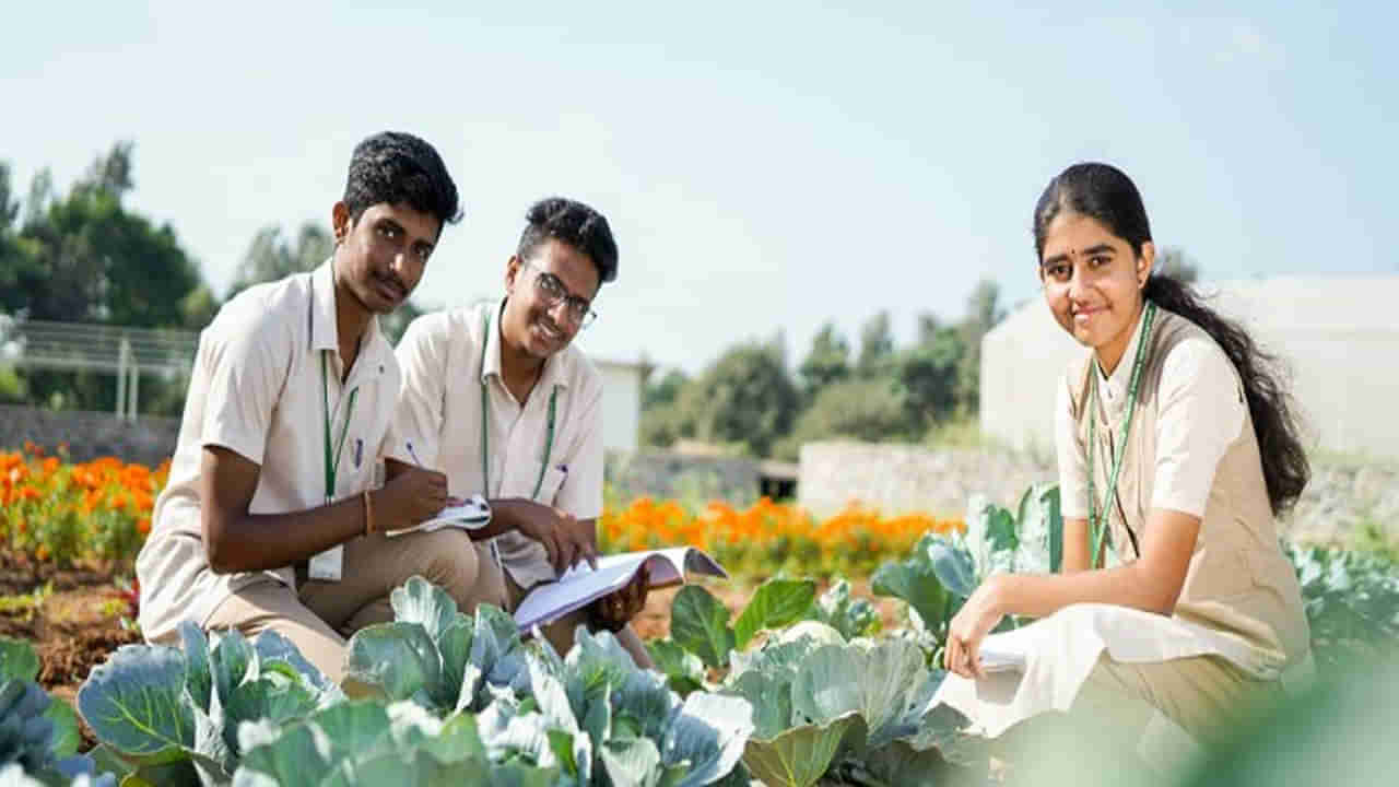 Agriculture Admissions: బీఎస్సీ (హానర్స్‌) అగ్రికల్చర్‌ కోర్సులో ప్రవేశాల కౌన్సెలింగ్‌ రద్దు.. కారణం ఇదే