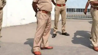 Viral Video: తల్లి ప్రేమంటే ఇదేనేమో.. సింహానికి సుస్సుపోయించిన చిరుత.. సీన్ కట్ చేస్తే.!