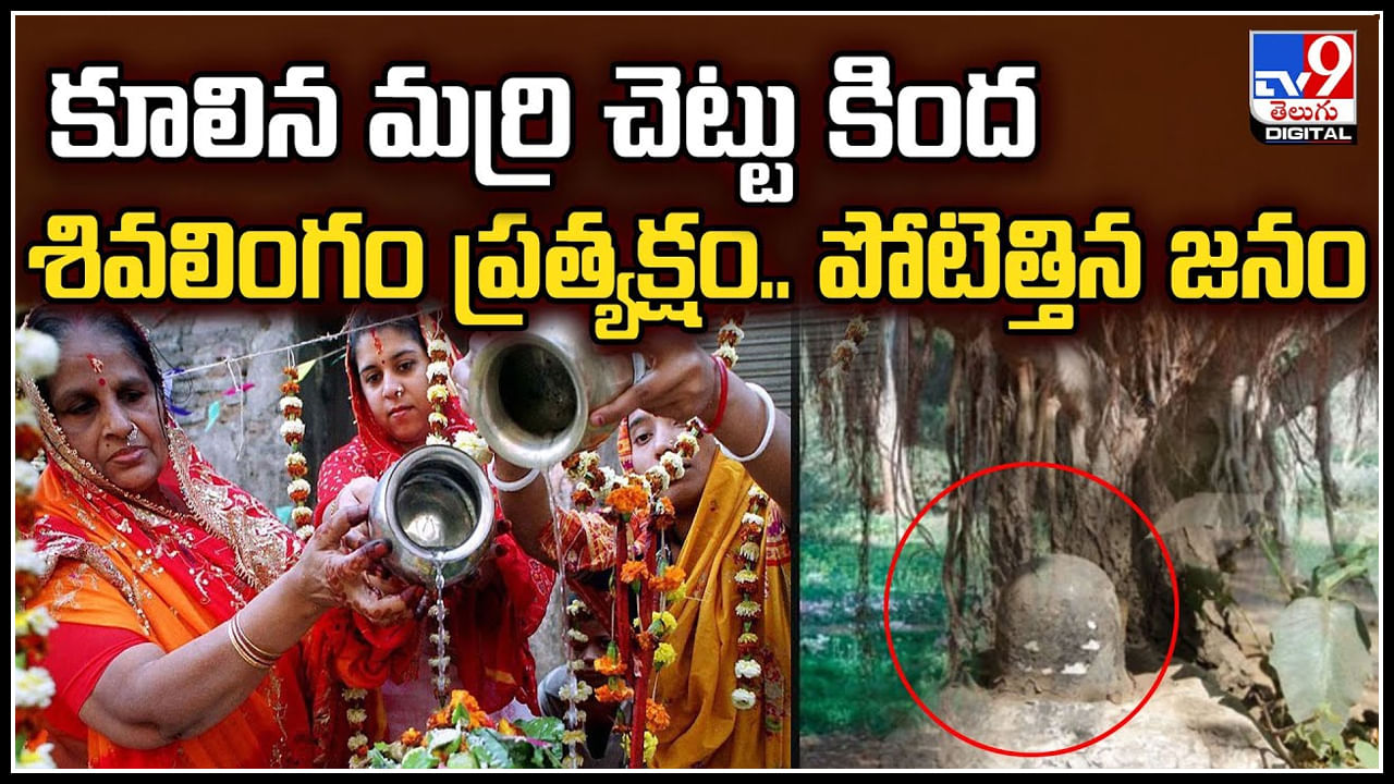 Viral: కూలిన మర్రి చెట్టు కింద  శివలింగం ప్రత్యక్షం.. పోటెత్తిన జనం.!