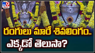 Watch: మరీ ఇంత దారుణమా..? రీల్స్‌పిచ్చితో మతిలేని పనిచేసిన మోడల్‌..! నెటిజన్ల ఫైర్