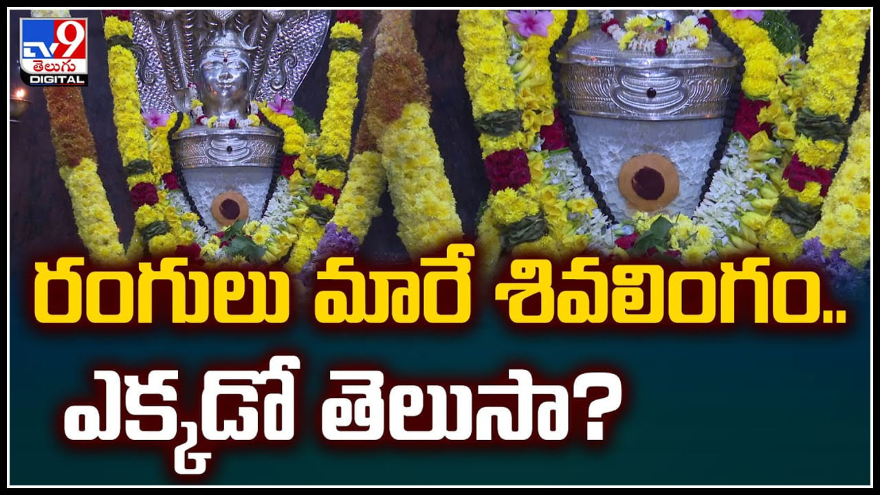 Viral: రంగులు మారే శివలింగం.. ఎక్కడో తెలుసా.? వీడియో వైరల్..