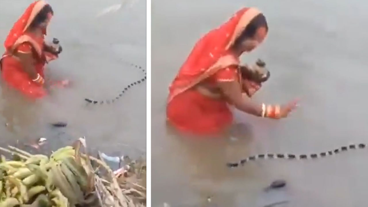 Viral Video: ఈ పాము యమ డేంజర్.. కానీ అక్కను చూడగానే సైడైపోయింది.. వీడియో చూస్తే