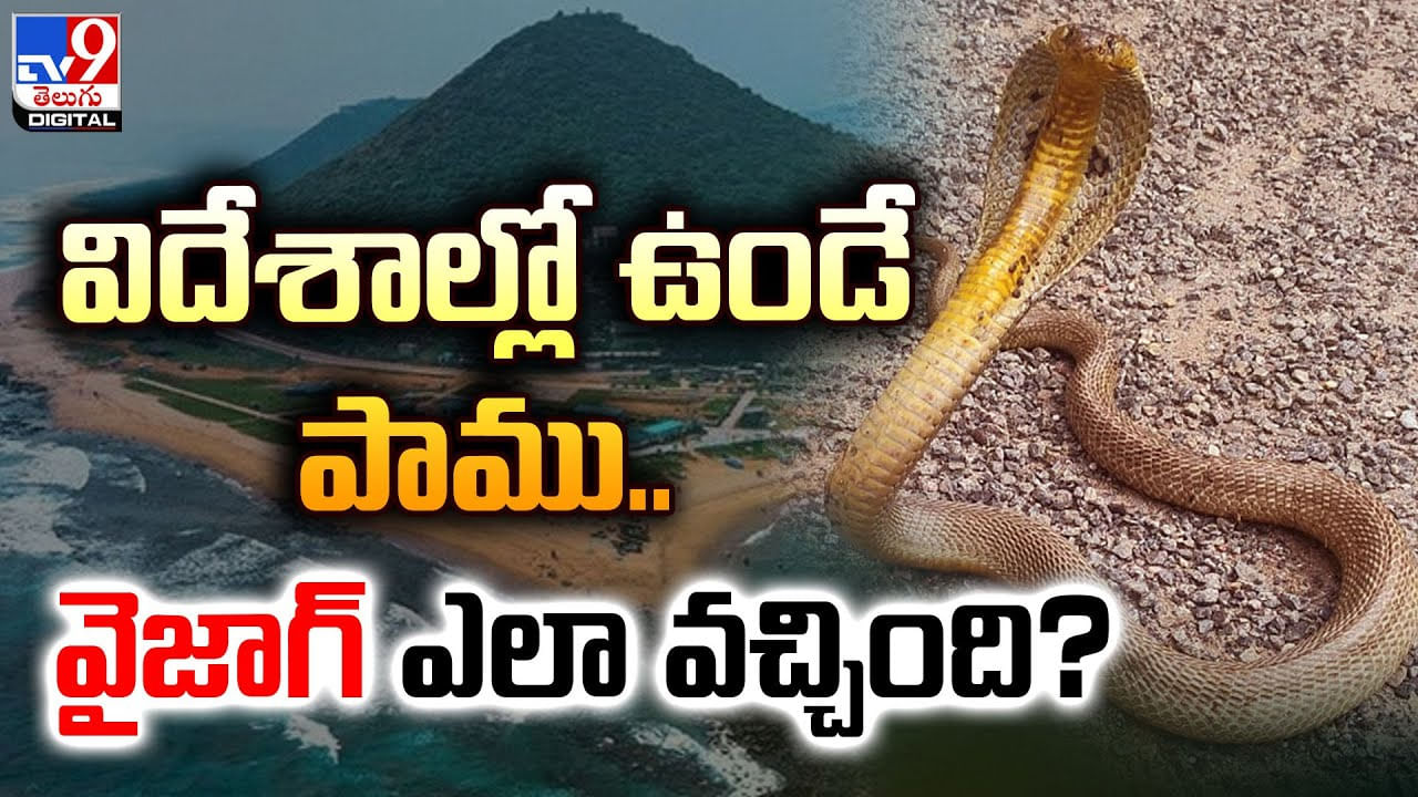 విదేశాల్లో ఉండే పాము.. వైజాగ్ ఎలా వచ్చింది ??