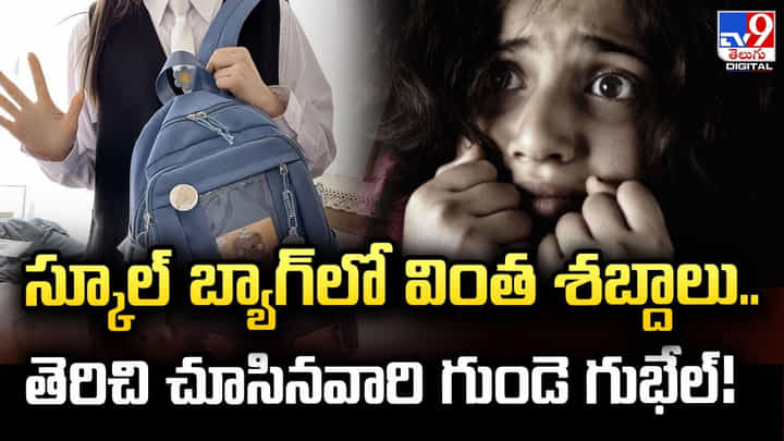 స్కూల్ బ్యాగ్ లో వింత శబ్దాలు !! తెరిచి చూసినవారి గుండె గుభేల్ స్కూల్ బ్యాగ్ లో వింత శబ్దాలు !! తెరిచి చూసినవారి గుండె గుభేల్