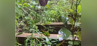 మీరు పుట్టిన తేదీని బట్టి మీ వెనకున్న దేవుడెవరో చెప్పొచ్చు.! ఎలాగో తెల్సా