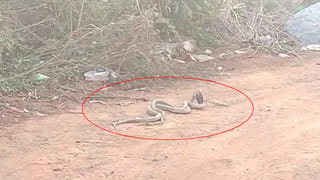 Andhra Pradesh: అయ్యో పాపం..రోడ్డు బాగోలేదని నడిరోడ్డుపైనే బాలింతను వదిలి వెళ్లిన తల్లి బిడ్డ వాహన సిబ్బంది