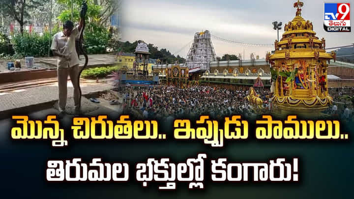 మొన్న చిరుతలు.. ఇప్పుడు పాములు.. తిరుమల భక్తుల్లో కంగారు మొన్న చిరుతలు.. ఇప్పుడు పాములు.. తిరుమల భక్తుల్లో కంగారు