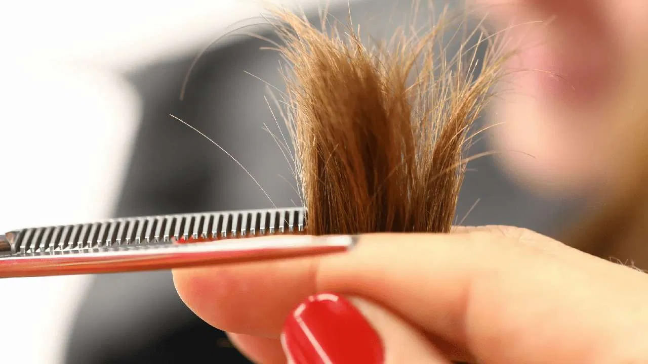 దుమ్ము, కాలుష్యం, అస్థవ్యస్థ ఆహార అలవాట్లు, హెయిర్ స్టైలింగ్ సాధనాల నుంచి వెలువడే వేడి, రసాయన ఉత్పత్తుల వాడకం.. వంటివాటివల్ల జుట్టు రాలడం, చివర్లు చీలడం వంటి సమస్యలు వెంటాడుతాయి. కలిగిస్తాయి. ఇలాంటి పాడైపోయిన జుట్టుకు సత్వరమే చికిత్స చేయాలి. లేదంటే మరింత నష్టం జరిగే అవకాశం ఉంది.