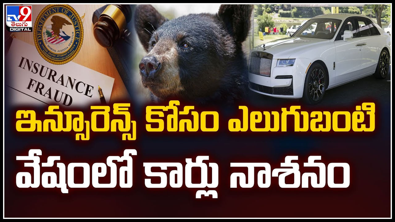 Insurance: ఇన్సూరెన్స్ కోసం ఎలుగుబంటి వేషంలో కార్లు నాశనం.! వీడియో..