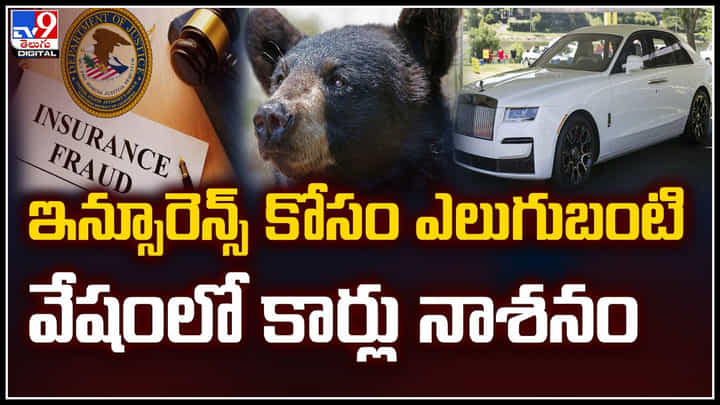 Insurance: ఇన్సూరెన్స్ కోసం ఎలుగుబంటి వేషంలో కార్లు నాశనం.! వీడియో.. Insurance: ఇన్సూరెన్స్ కోసం ఎలుగుబంటి వేషంలో కార్లు నాశనం.! వీడియో..