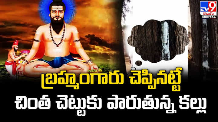 బ్రహ్మంగారు చెప్పినట్టే చింత చెట్టుకు పారుతున్న కల్లు బ్రహ్మంగారు చెప్పినట్టే చింత చెట్టుకు పారుతున్న కల్లు