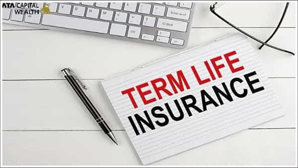 Term Insurance: రిటర్న్ ఆఫ్ ప్రీమియం ప్లాన్ ఎందుకు తీసుకోకూడదు? టర్మ్ ఇన్సూరెన్స్ ఎందుకు బెస్ట్!
