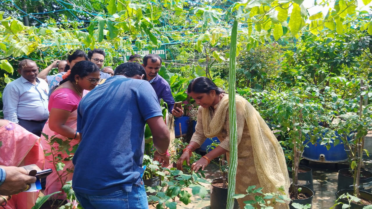 పెరుగుతున్న జనాభాకు సరిపడా కూరగాయలను తాజాగా అందించటానికి రకరకాల కెమికల్స్ ని వాడి మనకు అమ్ముతున్నారు. ఆ కలుషితమైన కెమికల్ కూరగాయల్ని మనము తిని అనారోగ్యం పాలవుతున్నాం. ఆకుకూరలు వాడిపోకుండా తాజాగా కనపడటానికి కెమికల్స్ స్ప్రే, బఠానీలు ఆకుపచ్చగా కనబడటానికి కలర్, వాటర్ మీలోన్ ఎర్రగా, టేస్టీ ఉండడటానికి కలర్ ఇంజెక్షన్ ఇలా ఒకటేమిటి ప్రతీది కల్తీ. స్వచ్ఛమైనవి కొనటానికి అవకాశం లేదు పోనీ సొంతంగా పండించుకుందామంటే మహానగరాల్లో ఇంట్లో స్థలం లేదు. 
