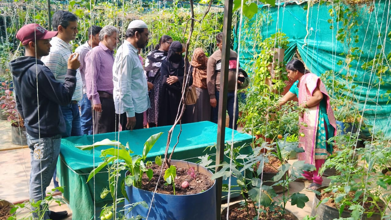 24 నవంబర్ ఆదివారం రోజు ఉదయం 10 గంటల నుంచి మధ్యాహ్నం ఒంటిగంట వరకు మీ ఇంట్లో ఉన్న టెర్రస్ లేదా బాల్కనీలో కానీ సొంతంగా కూరగాయలు పండించుకునేందుకు శిక్షణ ఇస్తుంది ఉద్యానవని శాఖ. నాంపల్లి రెడ్ హిల్స్ లోనే ఉద్యాన శిక్షణ కేంద్రంలో ఈ ట్రైనింగ్ ప్రోగ్రామ్ నిర్వహిస్తున్నారు. 