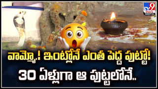 PV Sindhu: క్రీడాకారులకు గుడ్ న్యూస్ చెప్పిన  పీవీ సింధు.. బ్యాడ్మింటన్ అకాడమీకి భూమిపూజ