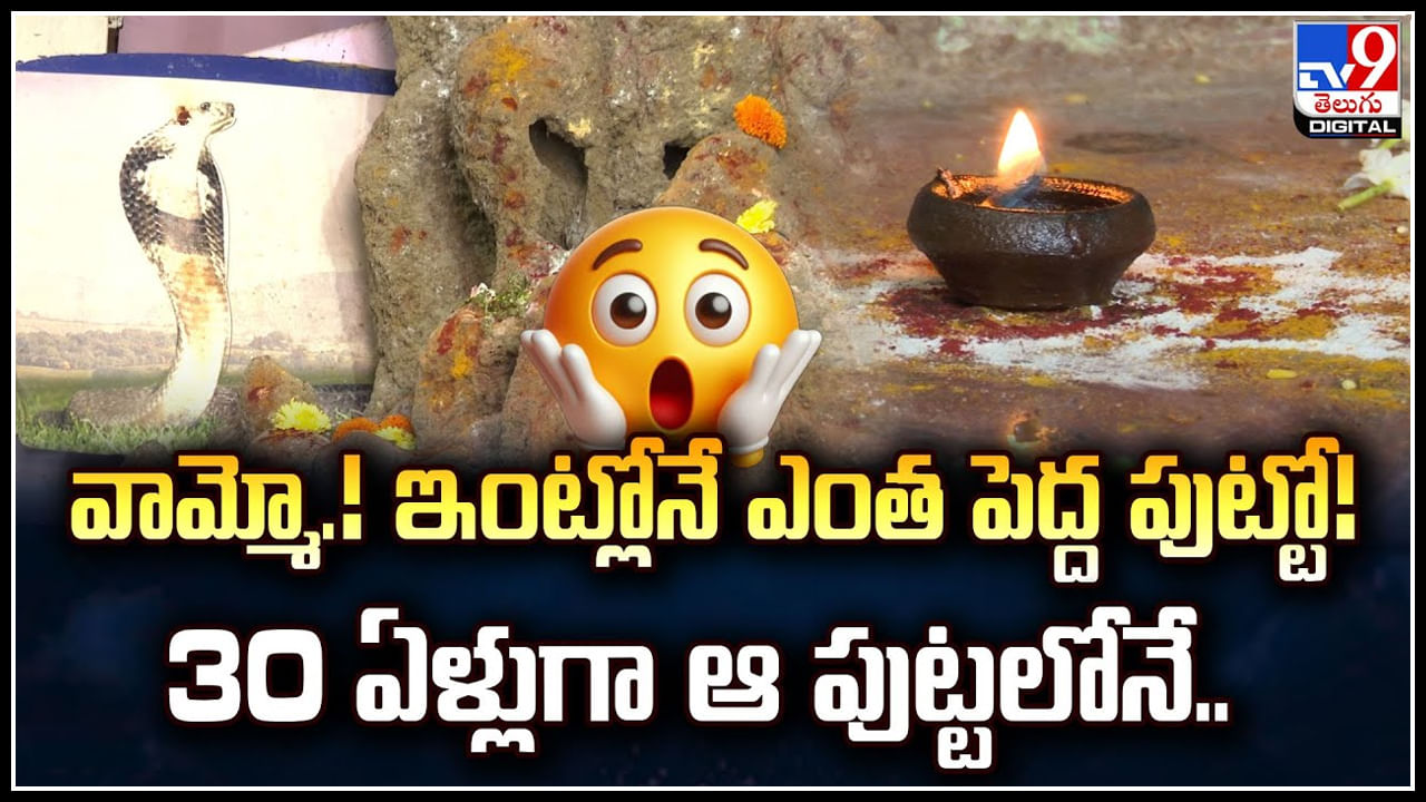 Watch: వామ్మో.! ఇంట్లోనే ఎంత పెద్ద పుట్టో.! 30 ఏళ్లుగా ఆ పుట్టలోనే..