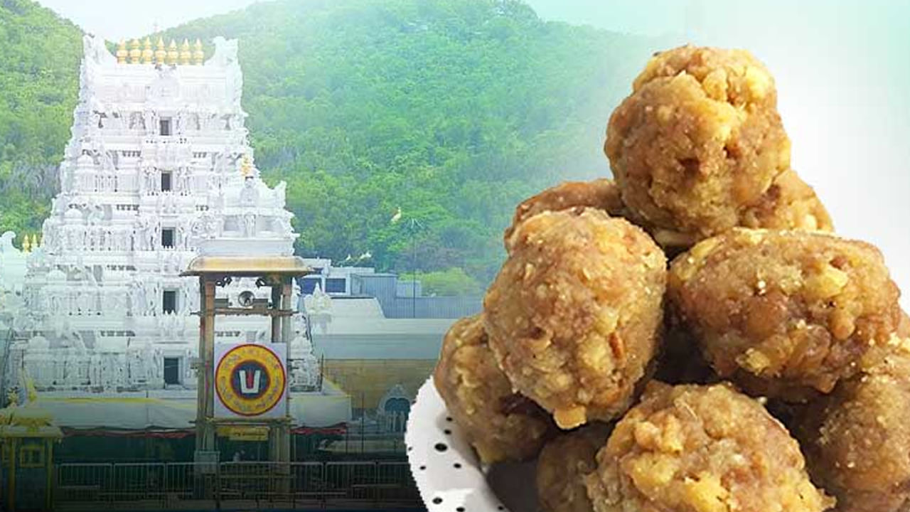 Tirupati Laddu Row: నెయ్యి సరఫరాలో అక్రమాలపై సిట్ దృష్టి.. ఏఆర్‌, వైష్ణవి డెయిరీలతో పాటు తిరుమలలో కూడా తనిఖీలు