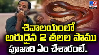 రైల్వే స్టేషన్‌లో ఆ బ్యాగ్ వద్దకు పరిగెత్తుకు వెళ్లిన స్నిఫర్ డాగ్.. అనుమానంతో చెక్ చేయగా !!