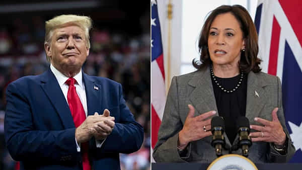 US Election 2024: బ్లూ, రెడ్, స్వింగ్ స్టేట్స్ అంటే ఏంటి? ఏ స్టేట్స్ ప్రజలు అభ్యర్థి గెలుపును నిర్ణయిస్తారో తెలుసా..!