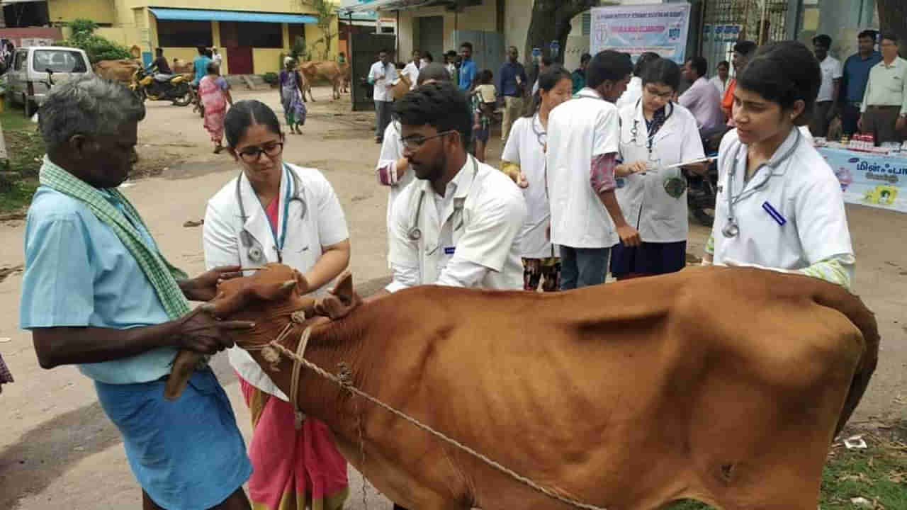 Veterinary University Adimissions: పశువైద్య యూనివర్సిటీలో NRI సీట్ల భర్తీకి రేపటితో ముగియనున్న గడువు.. కౌన్సెలింగ్‌ ఎప్పుడంటే