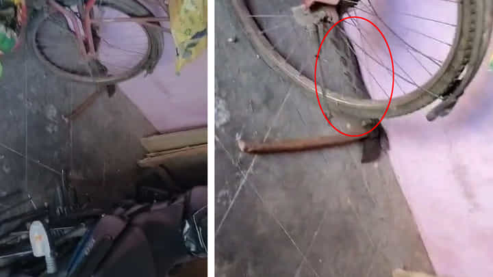 Telangana: ఇంటి వరండాలో వినిపించిన వింత శబ్దాలు.. ఏంటని వెళ్లి చూడగా.. అమ్మబాబోయ్.! Telangana: ఇంటి వరండాలో వినిపించిన వింత శబ్దాలు.. ఏంటని వెళ్లి చూడగా.. అమ్మబాబోయ్.!